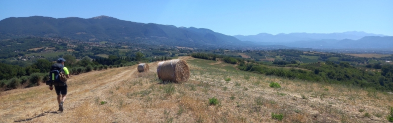 View of the interior of the Church of San Michele, showing the liturgical space and architectural elements.