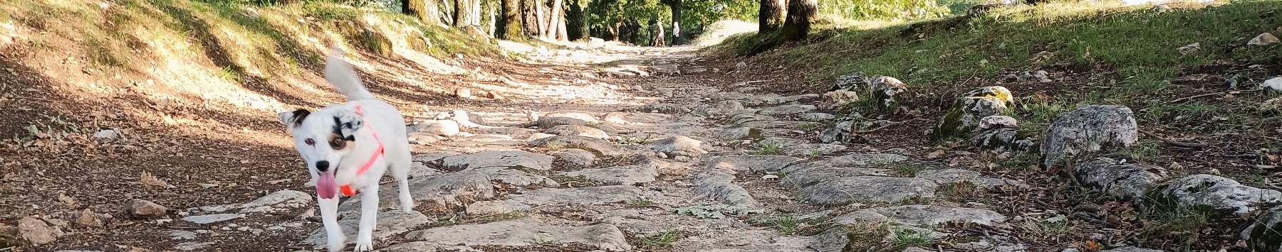Stage 5 from San Gemini to Cesi on the Way of the Proto-martyrs. Carsulae archaeological site Umbria Italy