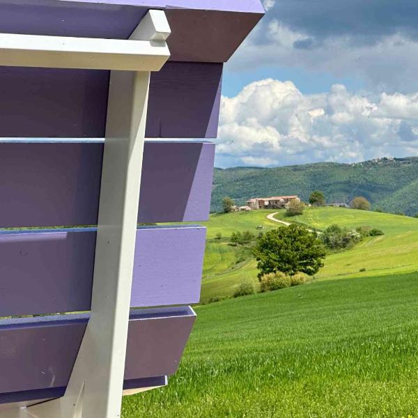 Immagine senza titolo