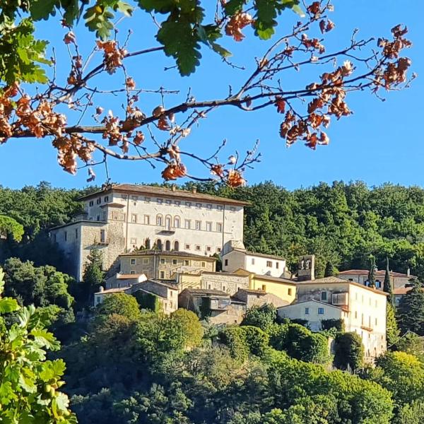 Immagine senza titolo