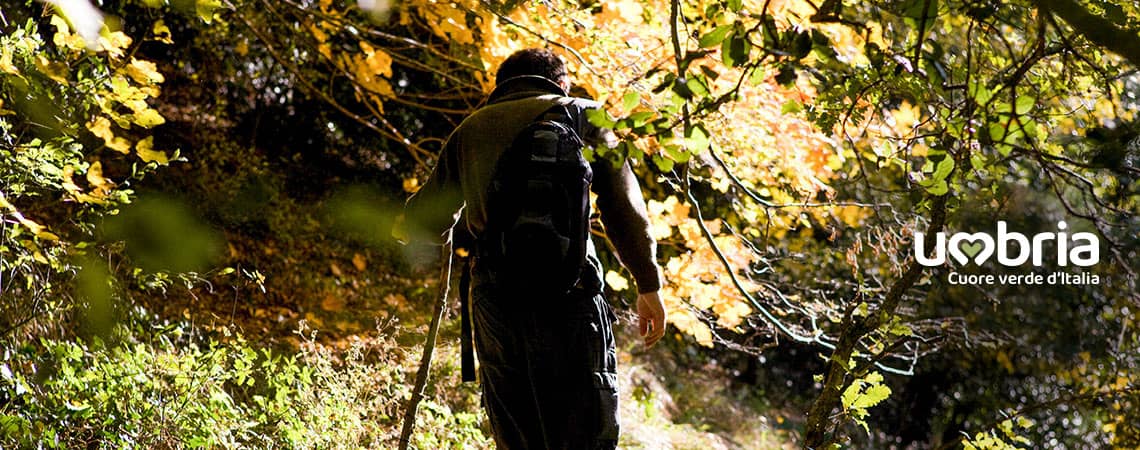 percorso di francesco pellegrinaggio assisi