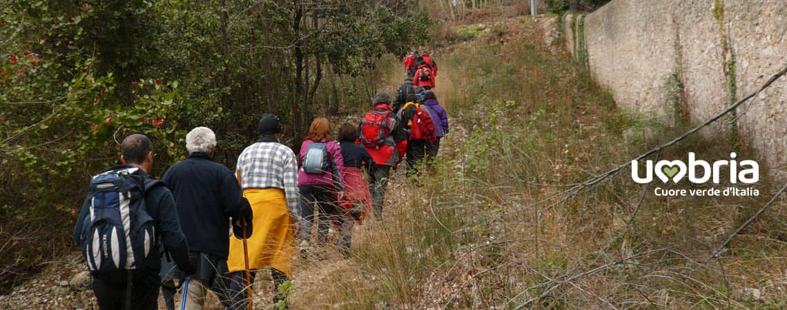 percorso di san francesco passeggiate su i luoghi francescani