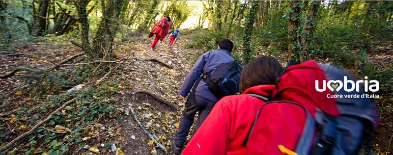 francisco ways via francigena de francisco