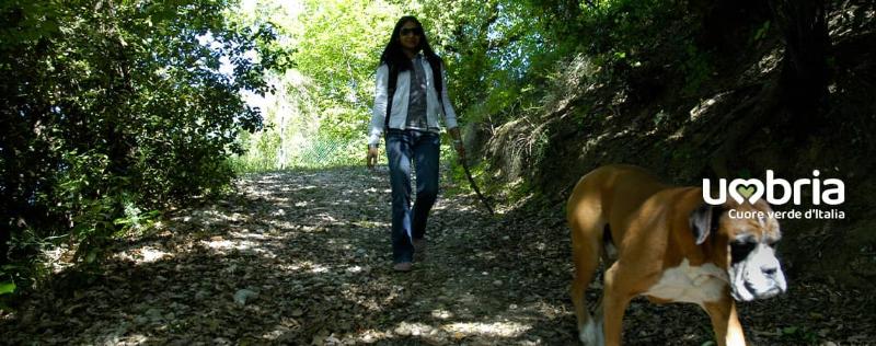 auf pilgerfahrt mit dem hund franziskusweg rom route
