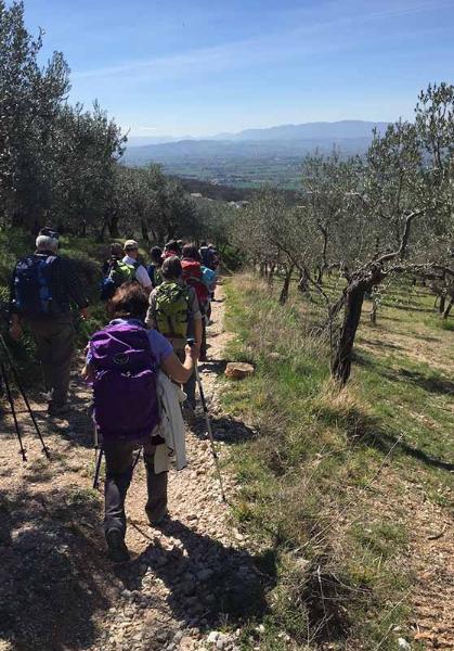 Assisi - Spello