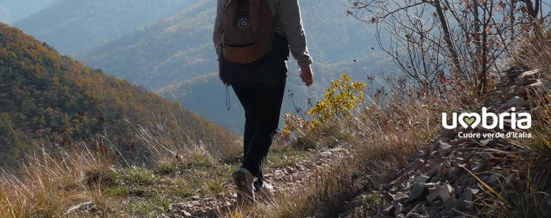 Immagine senza titolo