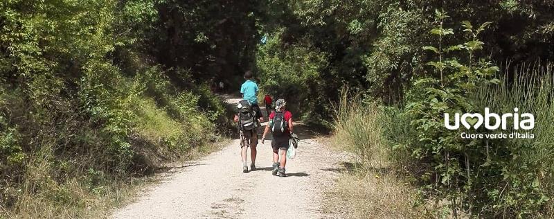 Immagine senza titolo