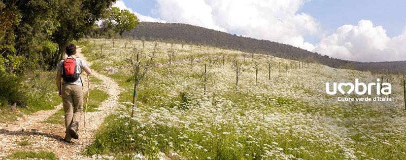 Immagine senza titolo