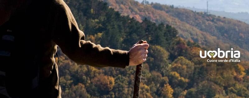 Immagine senza titolo