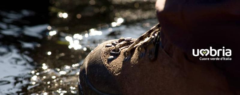 Immagine senza titolo