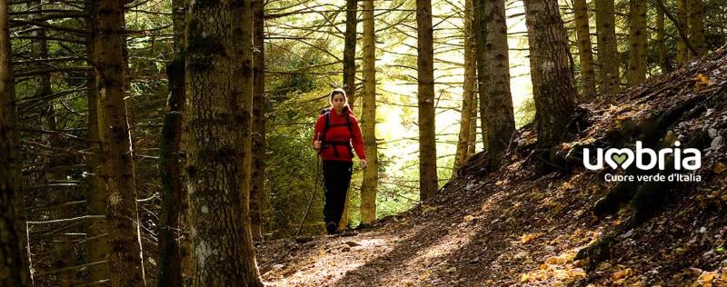 Immagine senza titolo