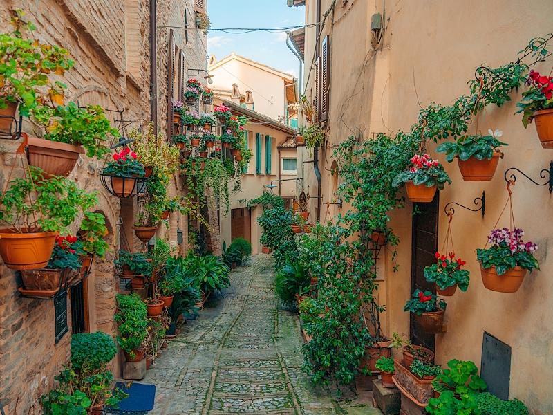 Narrow alley in the village of Spello, decorated with numerous flower pots and colorful plants along the façades of the houses.